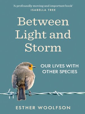 cover image of Between Light and Storm